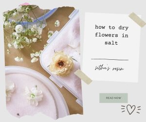 how to dry flowers in salt ලුණු වල මල් වියළන ආකාරය