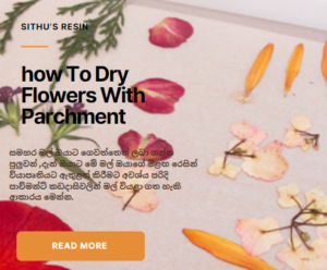 ලිපි අංක – 12  – පාච්මන්ට් කඩදාසිවලින් මල්  වියළන ආකාරය  how To Dry Flowers With Parchment