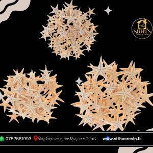 Natural Starfish Shell 10pcs